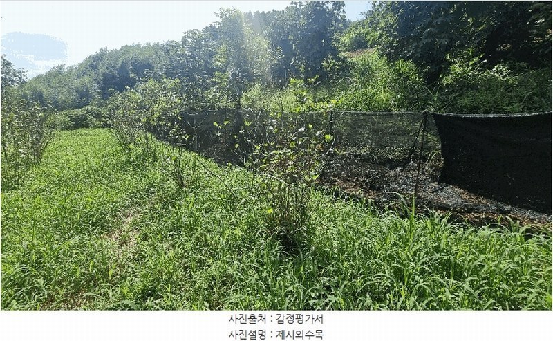 2024타경111356 경상남도 김해시 화목동 910-2 농지 경매 이미지