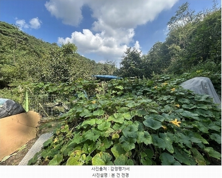 2024타경112526 경상남도 창원시 성산구 완암동 322 농지 경매 이미지