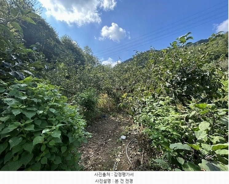 2024타경112526 경상남도 창원시 성산구 완암동 322 농지 경매 이미지
