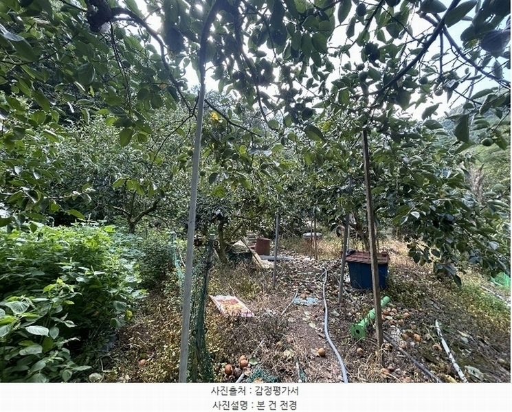 2024타경112526 경상남도 창원시 성산구 완암동 322 농지 경매 이미지