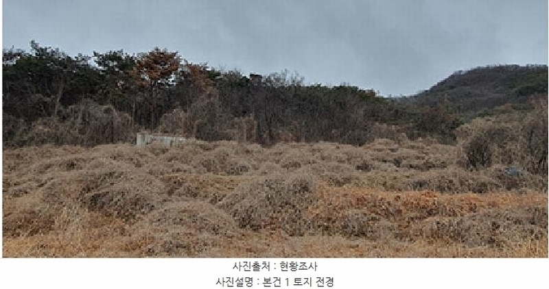 2025타경11047 경상남도 김해시 한림면 금곡리 55 농지 경매 이미지