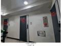 2025타경9501 서울특별시 양천구 신월로11길 37, 효성쉐르빌 비동 2층 203호 다세대(빌라)[공급17평형] 경매 이미지