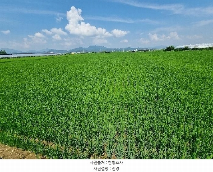 2025타경11786 경상남도 창원시 의창구 대산면 가술리 1657 농지 경매 이미지