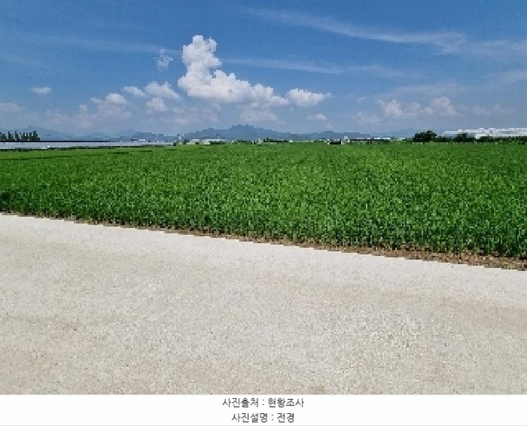 2025타경11786 경상남도 창원시 의창구 대산면 가술리 1657 농지 경매 이미지