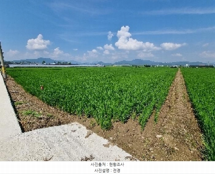 2025타경11786 경상남도 창원시 의창구 대산면 가술리 1657 농지 경매 이미지
