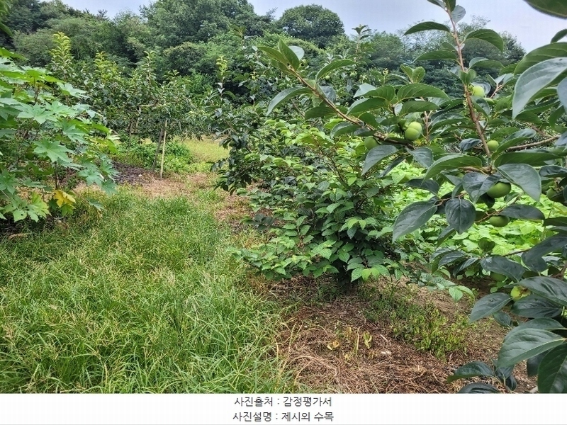 2024타경4762 경상남도 창원시 의창구 북면 내곡리 386 농지 경매 이미지