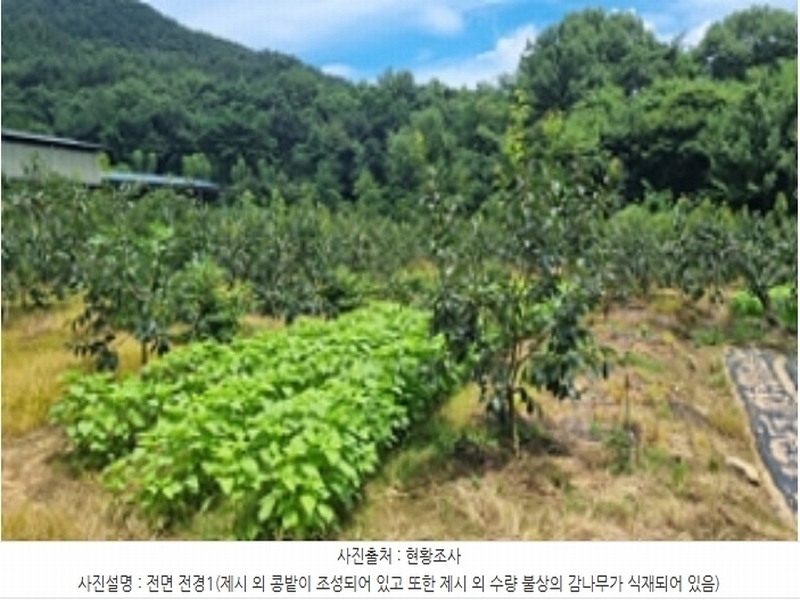 2024타경4762 경상남도 창원시 의창구 북면 내곡리 386 농지 경매 이미지