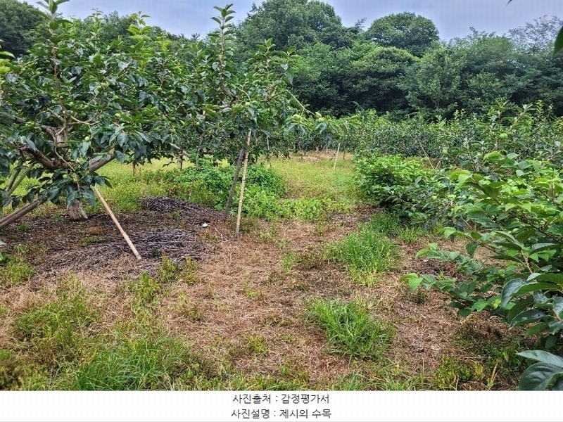 2024타경4762 경상남도 창원시 의창구 북면 내곡리 386 농지 경매 이미지