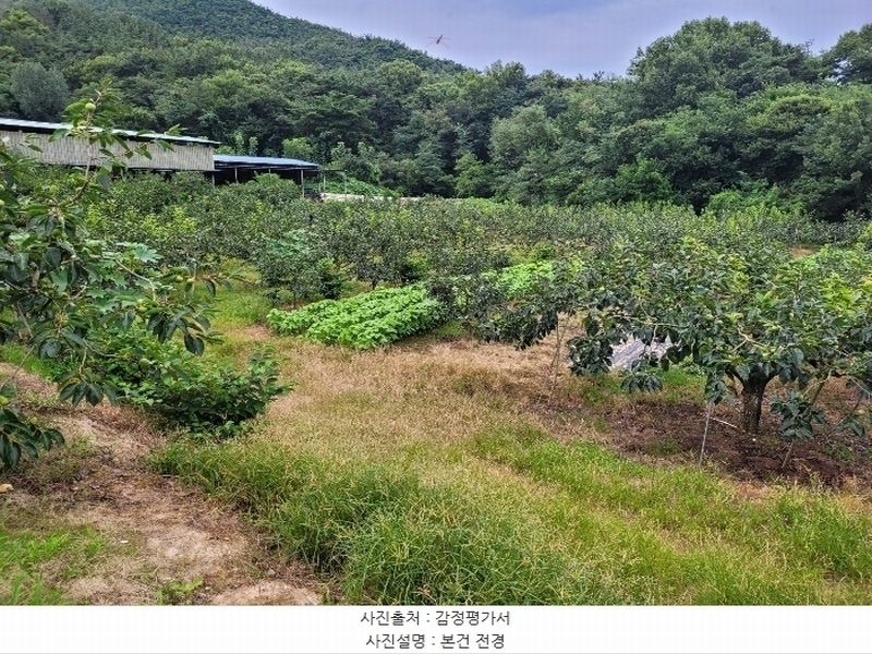 2024타경4762 경상남도 창원시 의창구 북면 내곡리 386 농지 경매 이미지
