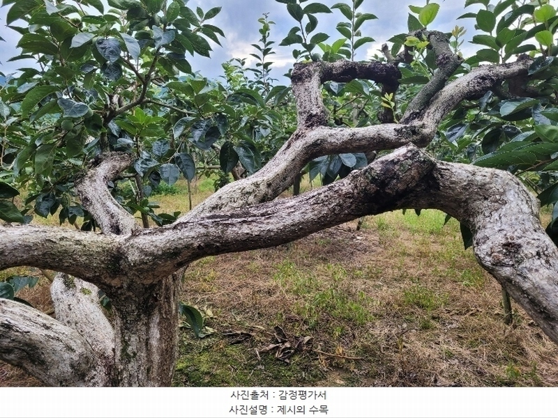 2024타경4762 경상남도 창원시 의창구 북면 내곡리 386 농지 경매 이미지