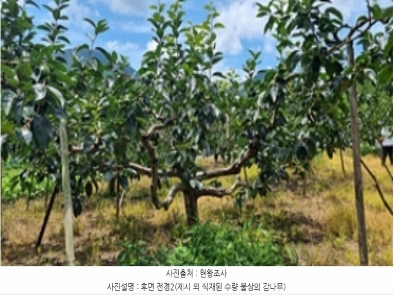 2024타경4762 경상남도 창원시 의창구 북면 내곡리 386 농지 경매 이미지