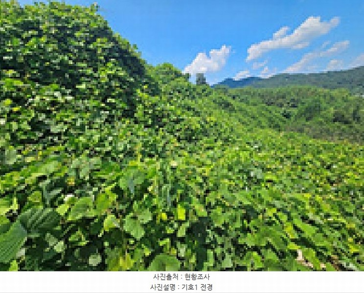 2025타경11927 경상남도 창원시 의창구 북면 내곡리 777-1 과수원 경매 이미지