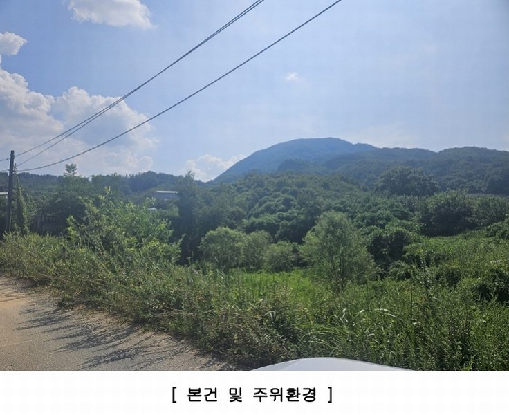 2025타경11927 경상남도 창원시 의창구 북면 내곡리 777-1 과수원 경매 이미지