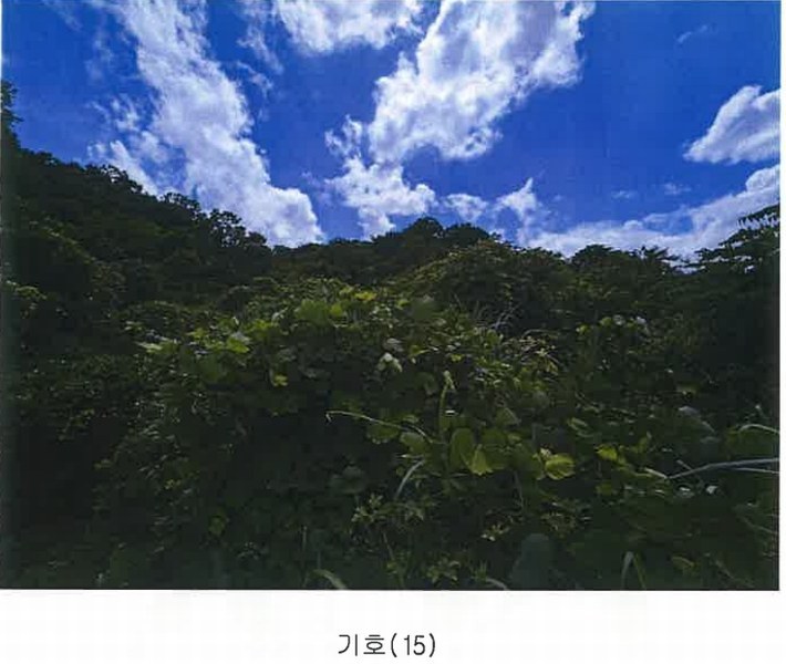 2024타경4878 경상남도 김해시 한림면 안하리 192 공장 경매 이미지