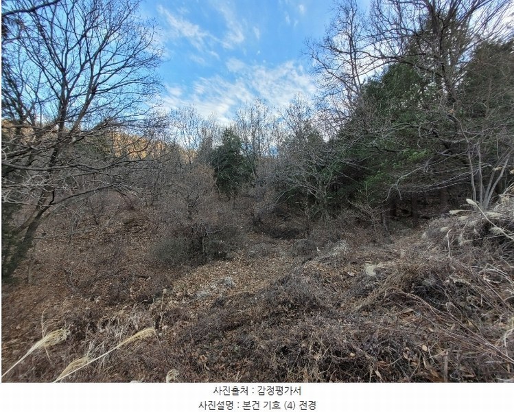 2024타경100417 경상남도 창원시 진해구 두동 1172 임야 경매 이미지