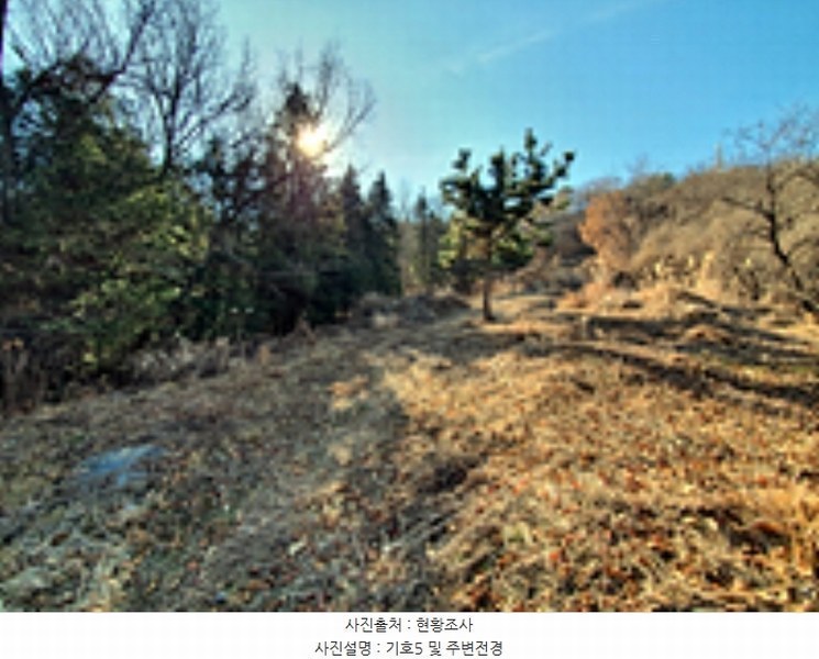 2024타경100417 경상남도 창원시 진해구 두동 1172 임야 경매 이미지
