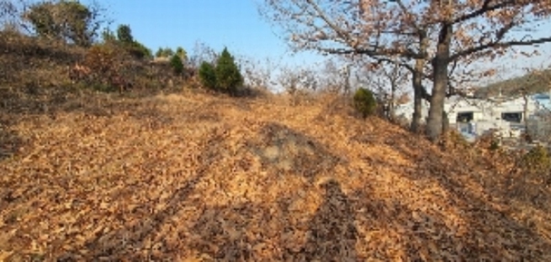 2022타경105074 경상남도 함안군 칠북면 화천리 86-5 농지 경매 이미지