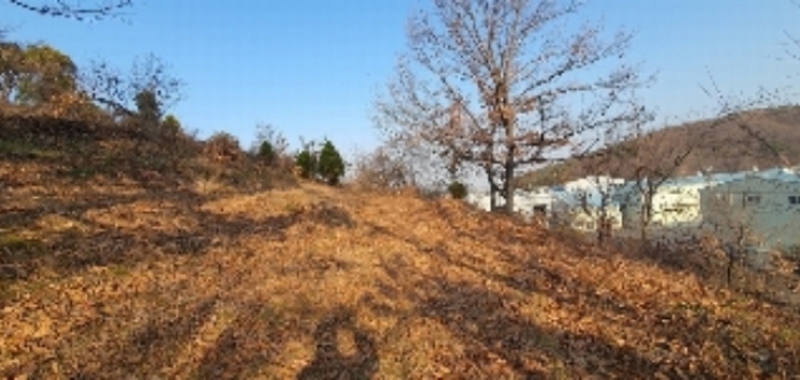 2022타경105074 경상남도 함안군 칠북면 화천리 86-5 농지 경매 이미지