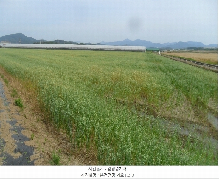 2024타경975 경상남도 함안군 군북면 사도리 1173-1 농지 경매 이미지