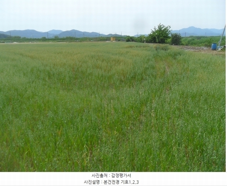 2024타경975 경상남도 함안군 군북면 사도리 1173-1 농지 경매 이미지