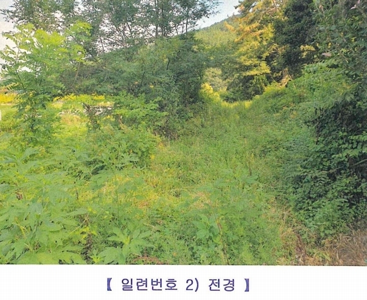 2024타경2247 경상남도 창원시 마산합포구 구산면 석곡리 634-3 농지 경매 이미지