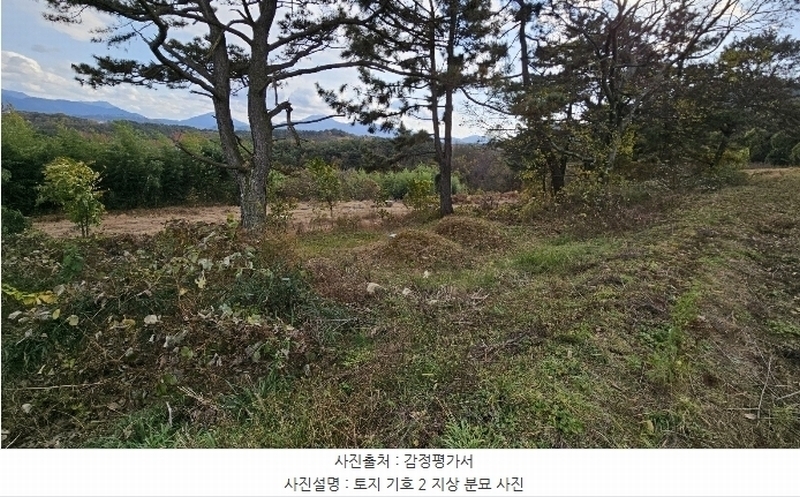 2024타경3080 경상남도 함안군 가야읍 묘사리 284-13 농지 경매 이미지
