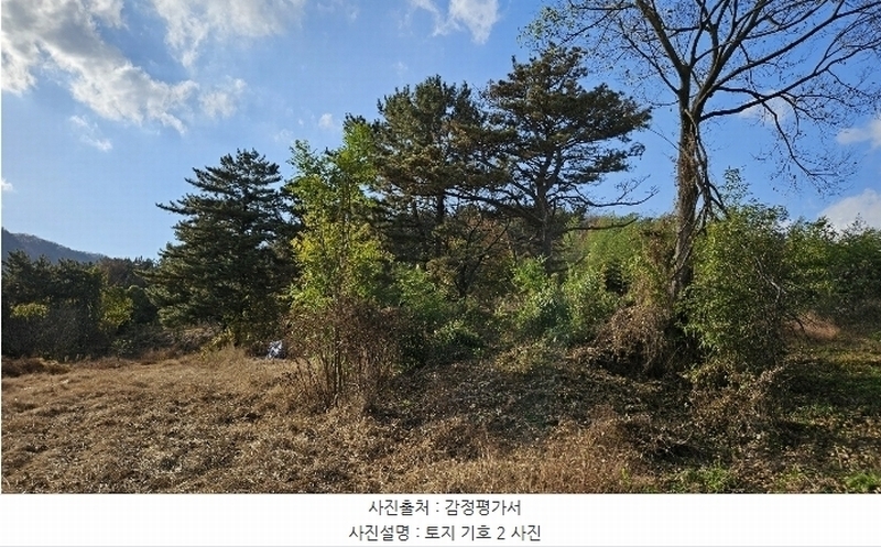 2024타경3080 경상남도 함안군 가야읍 묘사리 284-13 농지 경매 이미지
