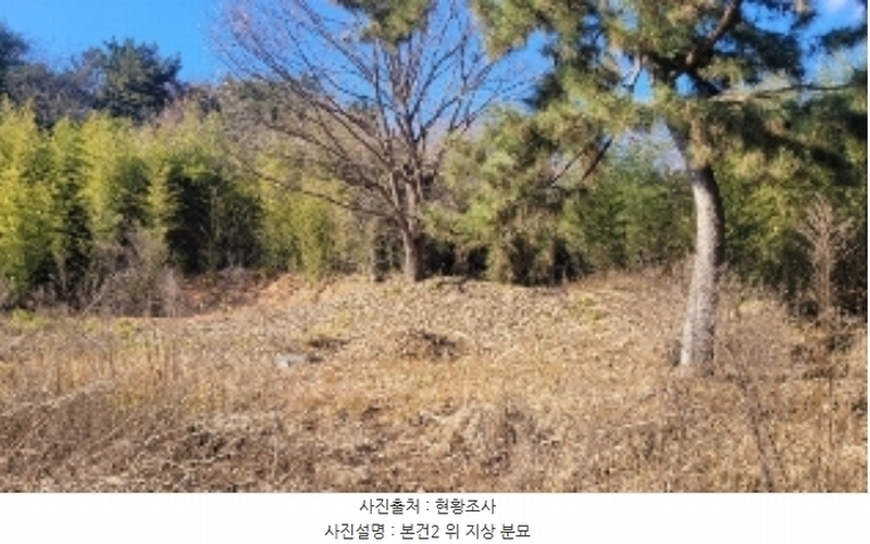 2024타경3080 경상남도 함안군 가야읍 묘사리 284-13 농지 경매 이미지