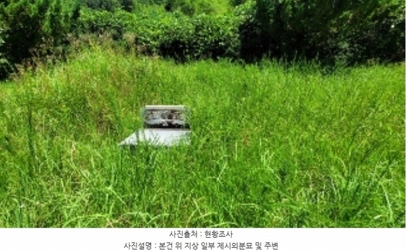 2024타경104297 경상남도 의령군 궁류면 다현리 249-1 농지 경매 이미지