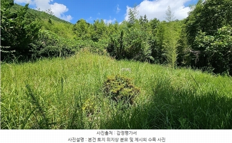 2024타경104297 경상남도 의령군 궁류면 다현리 249-1 농지 경매 이미지