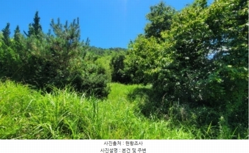 2024타경104297 경상남도 의령군 궁류면 다현리 249-1 농지 경매 이미지
