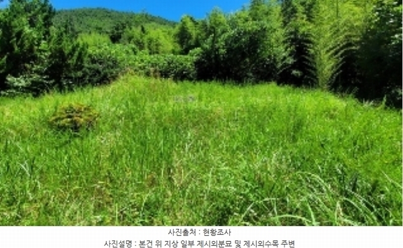 2024타경104297 경상남도 의령군 궁류면 다현리 249-1 농지 경매 이미지