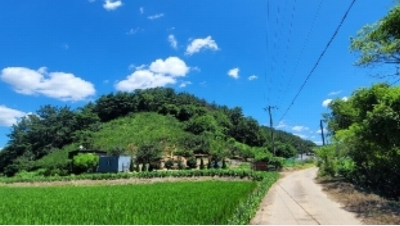 2024타경104396 경상남도 함안군 대산면 부목리 592-1 임야 경매 이미지