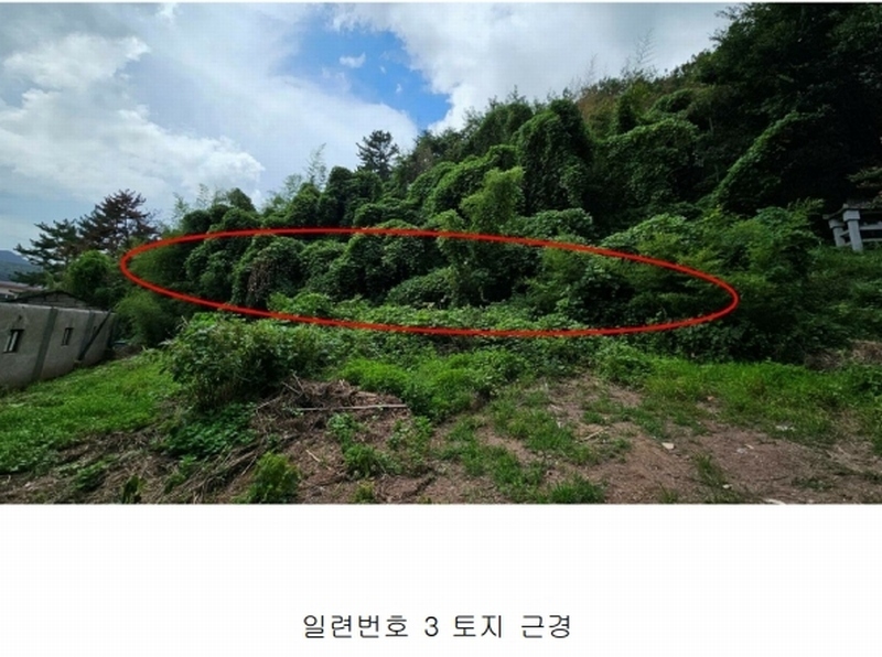 2024타경104792 경상남도 의령군 의령읍 동동리 1202-1 농지 경매 이미지