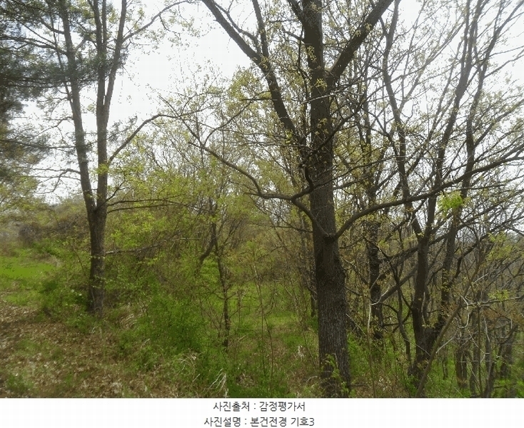 2024타경105627 경상남도 함안군 대산면 하기리 774 농지 경매 이미지