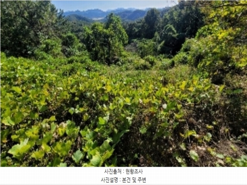 2024타경106187 경상남도 함안군 대산면 장암리 251 농지 경매 이미지