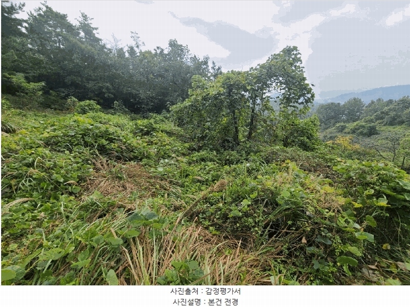 2024타경106187 경상남도 함안군 대산면 장암리 251 농지 경매 이미지