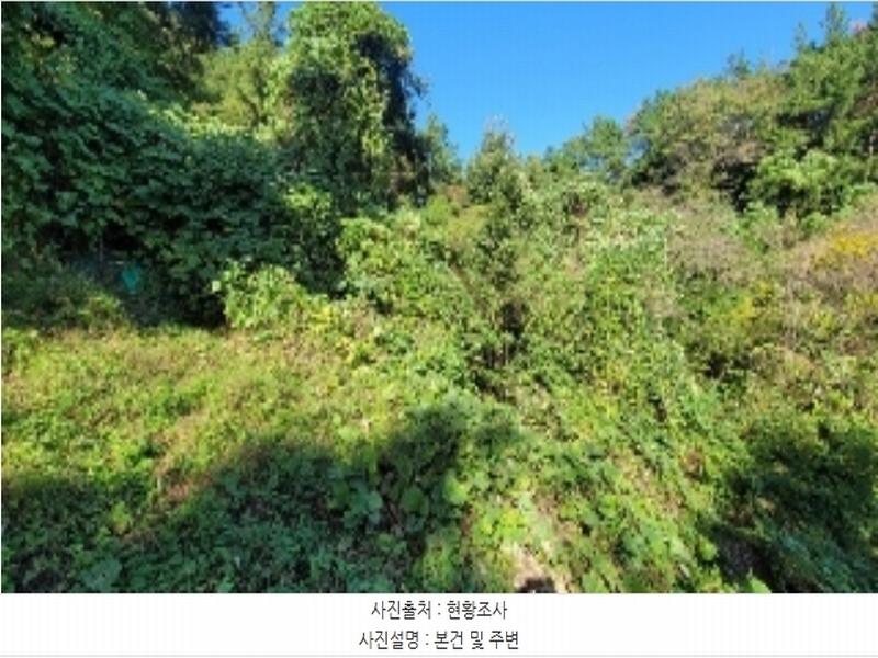 2024타경106187 경상남도 함안군 대산면 장암리 251 농지 경매 이미지