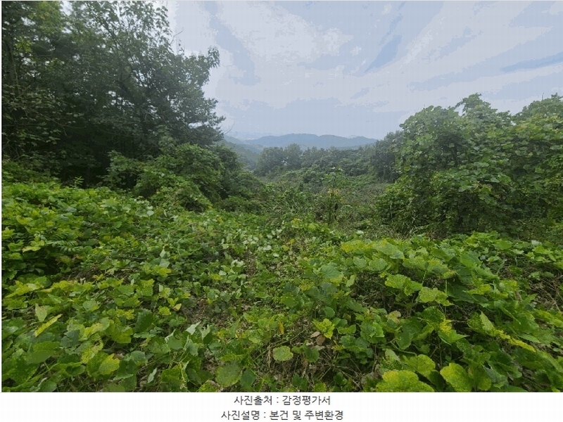 2024타경106187 경상남도 함안군 대산면 장암리 251 농지 경매 이미지