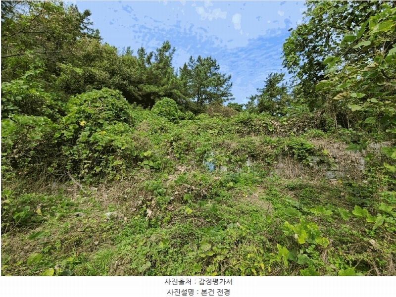 2024타경106187 경상남도 함안군 대산면 장암리 251 농지 경매 이미지