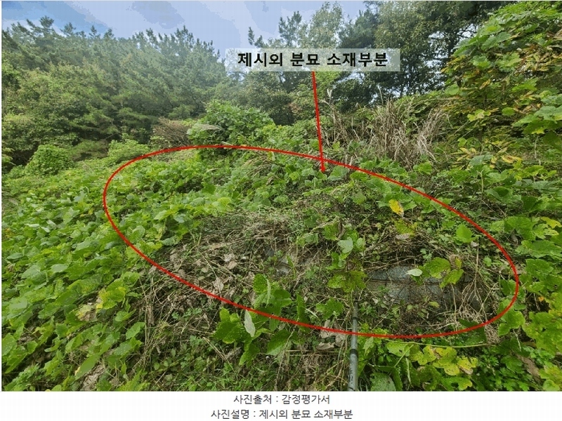 2024타경106187 경상남도 함안군 대산면 장암리 251 농지 경매 이미지