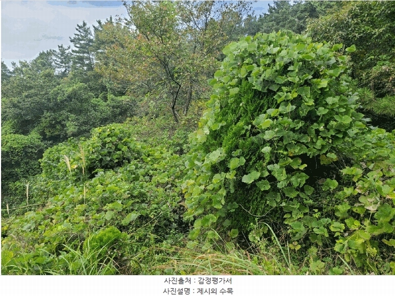 2024타경106187 경상남도 함안군 대산면 장암리 251 농지 경매 이미지