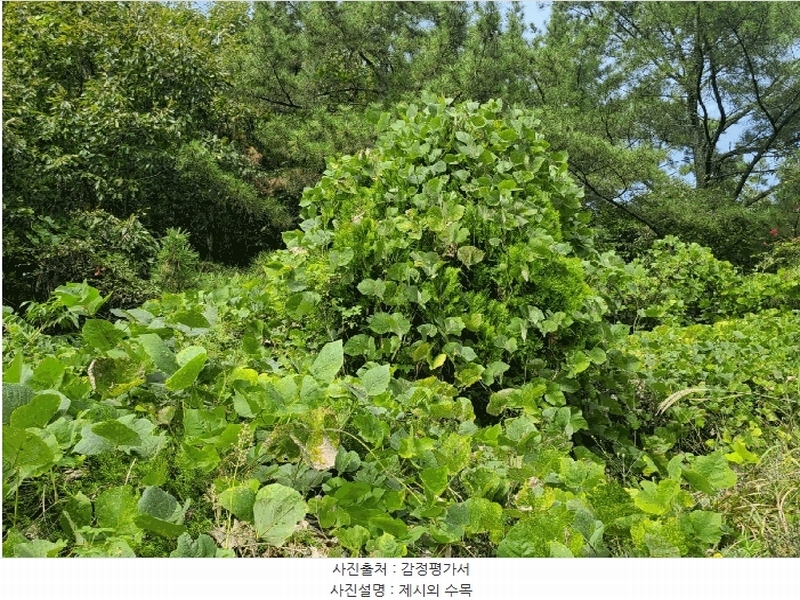 2024타경106187 경상남도 함안군 대산면 장암리 251 농지 경매 이미지