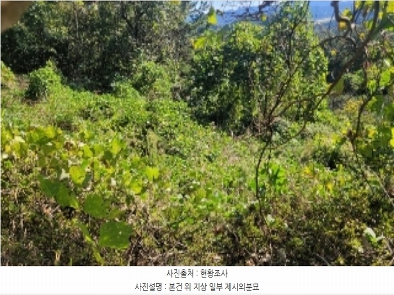 2024타경106187 경상남도 함안군 대산면 장암리 251 농지 경매 이미지