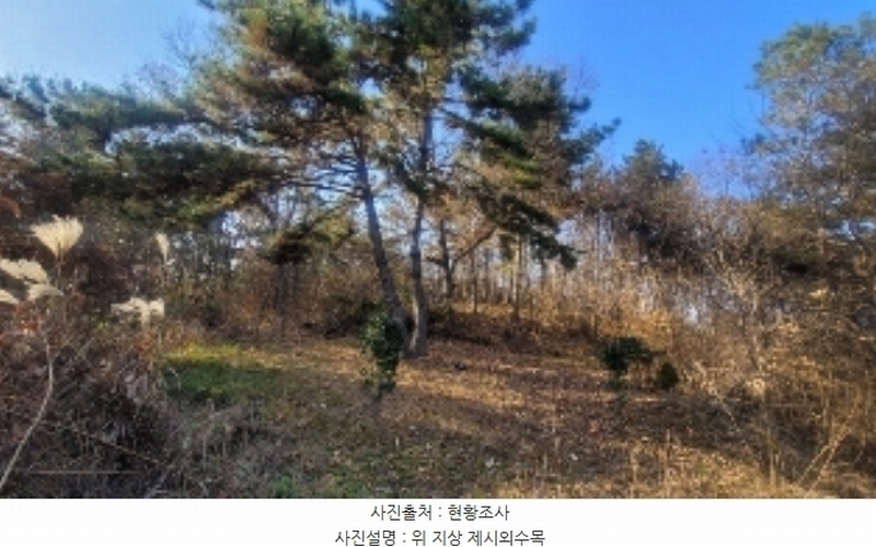 2024타경107050 경상남도 함안군 칠원읍 유원리 172 농지 경매 이미지