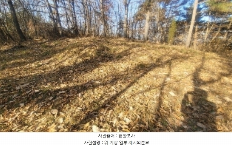 2024타경107050 경상남도 함안군 칠원읍 유원리 172 농지 경매 이미지
