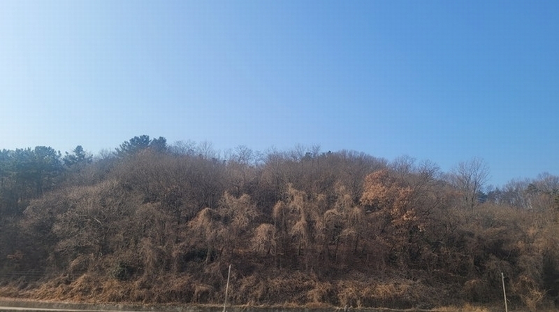 2024타경107395 경상남도 함안군 함안면 북촌리 530-1 농지 경매 이미지