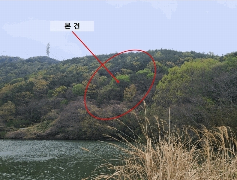 2025타경193 경상남도 창원시 마산합포구 진북면 정현리 산167 임야 경매 이미지