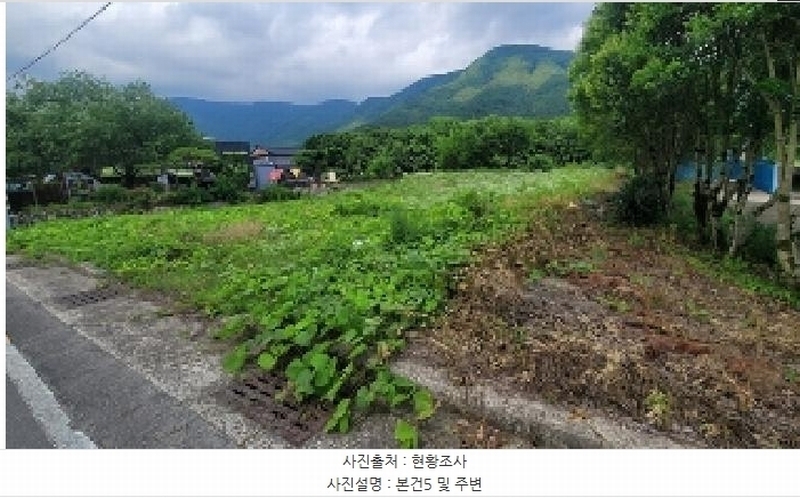 2025타경232 경상남도 의령군 칠곡면 외조리 389-4 농지 경매 이미지