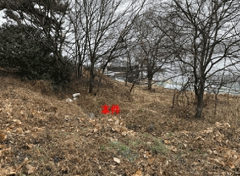 2025타경20396 경상남도 창원시 마산합포구 구산면 난포리 245 농지 경매 이미지